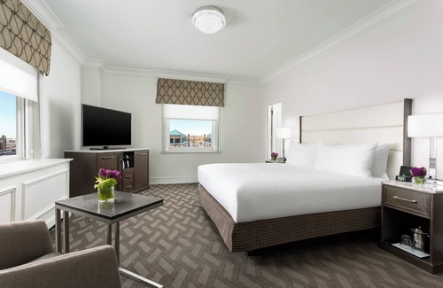 Downtown Boston Hotel | Spacious Downtown Room Close to Public Garden | Pets Are Allowed