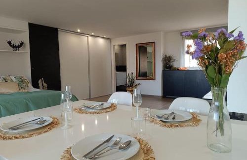 San Vicente del Raspeig Apartment | Spacious Studio by the University