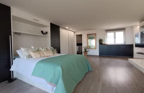 San Vicente del Raspeig Apartment | Spacious Studio by the University