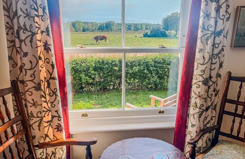 New Forest District Cottage | Spacious family retreat with large garden and wild ponies