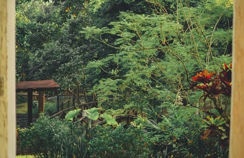Santa Catarina Barahona House | Spacious Farm With Swimming Pool, Parking, Woods and Rivers