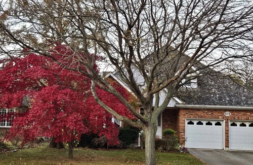 Historic Old Town House | Spacious House - GREAT LOCATION in Old Town NOTL with HOT TUB & Univ. EV CHARGER