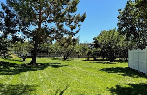 Orchard South House | Spacious Home and Large Backyard