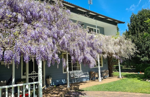 Burradoo House | Spacious Homely Quality Cosy Family Home. Walking distance to Bowral CBD