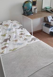 Bilieu House | Spacious lake house