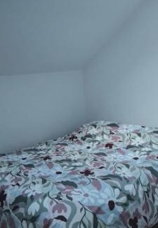 Bilieu House | Spacious lake house