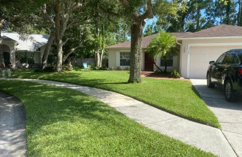 Orlando House | - Spacious Master Room with Private Bathroom near UCF, Hospital & Shopping