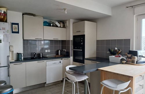 Ile Beaulieu Apartment | Spacious modern apartment with view of the Loire