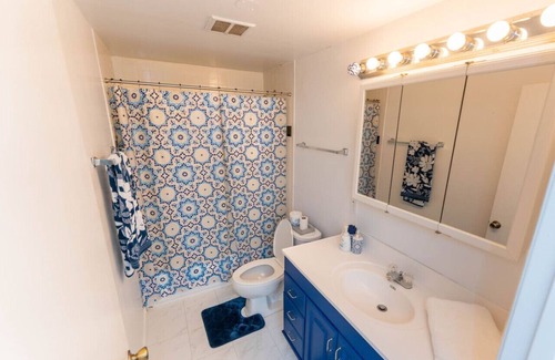 Historic Uptown House | Spacious Pet Friendly Home in Downtown St. Petersburg - Walk to Everything