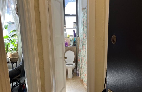 Crown Heights Apartment | Spacious private apartment near Prospect Park