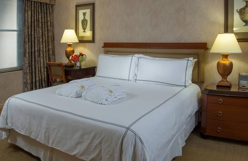 Central Park South Hotel | Spacious Private Bedroom Suite w/Free WiFi, Sound System, & Flat-Screen TV