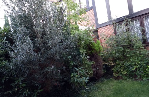 Chadwell House | Spacious room in a shared house