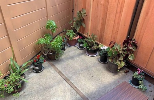 Castro Valley Apartment | Spacious Studio w/AC - Near BART/Free Laundry!