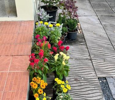 Dok Mai House | Spacious and peaceful 3 bedrooms detached house inside Bangkok