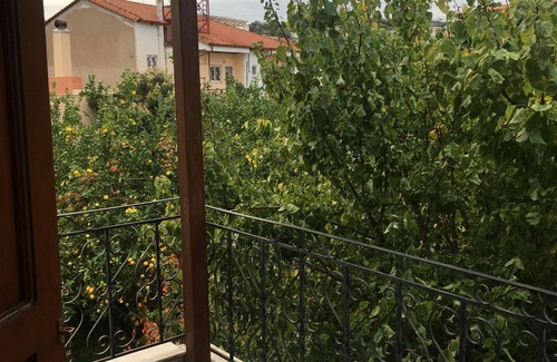 Aigio House | spacious townhouse with mature tree garden