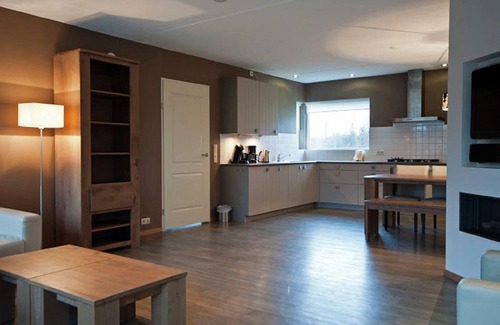 De Cocksdorp Villa | Spacious villa with deco fireplace on Texel