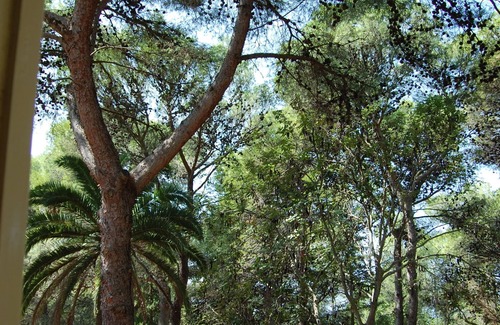 Santa Caterina Villa | Spacious villa, surrounded by a pine forest, 300 meters from the sea and the town