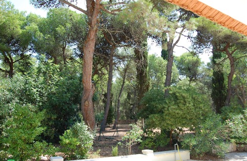 Santa Caterina Villa | Spacious villa, surrounded by a pine forest, 300 meters from the sea and the town