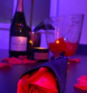 Epinay-sous-Senart Apartment | Spamoureux EPINAY