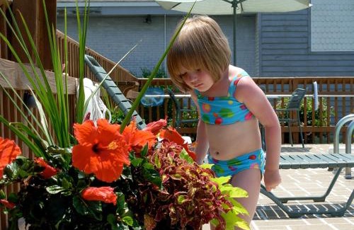 Chincoteague Hotel | Spark by Hilton Chincoteague Island