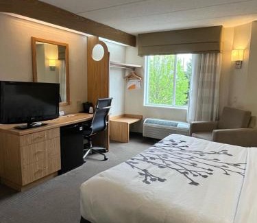 Lynchburg Hotel | Spark by Hilton Lynchburg
