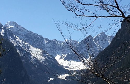 Bischofswiesen Apartment | Special price / June / July, allergy-friendly apartment, quiet location,