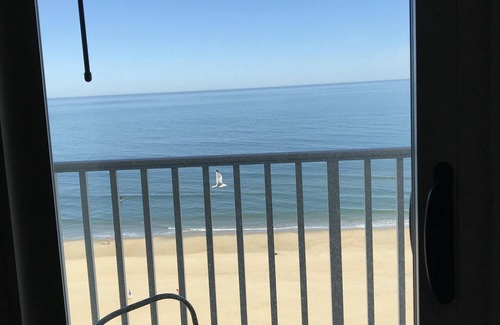 Northeast Virginia Beach Condo | Spectacular, Newly Renovated Oceanfront Condo In Prime Beach Location