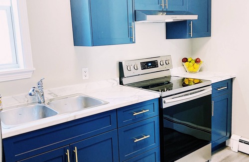 Fredericton Apartment | Spin & Sip | Dog-Friendly Vinyl Vibes Downtown