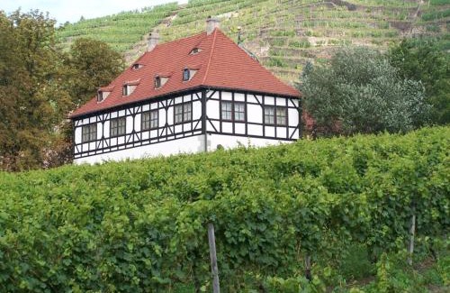 Radebeul House | "Spitzhausblick" in het Huis Felix