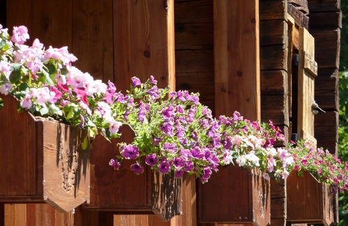 Manigod Ski Chalet | Splendid authentic chalet in the heart of a preserved valley