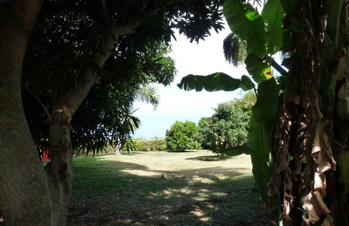 Le Portail Villa | Splendid little villa with sea view, large swimming pool, wooded garden, fully equipped