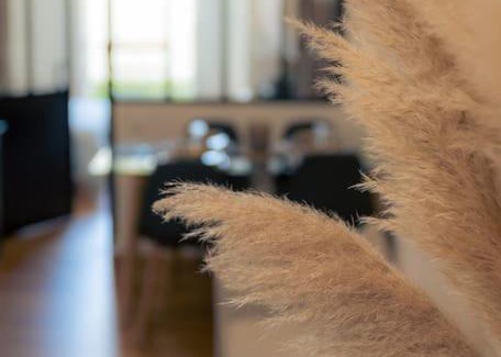 Cognac Apartment | SplendideT2 centre ville & terrasse extérieure