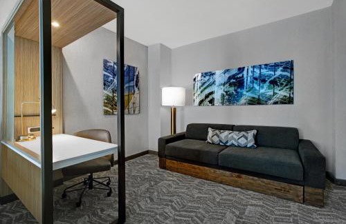 Franklin Hotel | SpringHill Suites by Marriott Franklin Cool Springs