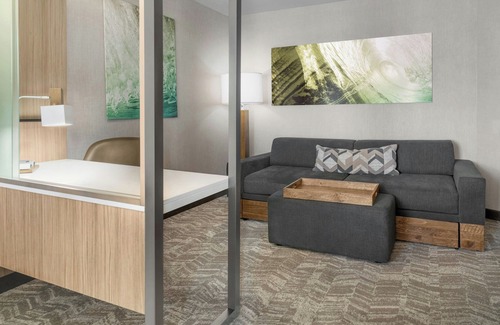 Holland Hotel | SpringHill Suites by Marriott Holland