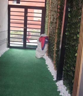 Fresno Apartment | Squirrel and bird watching