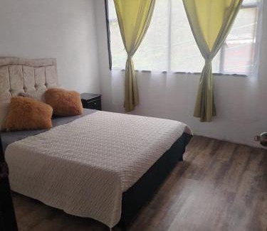 Fresno Apartment | Squirrel and bird watching