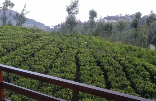 Coonoor Cottage | Sree Harshav Cottage, Kodamala