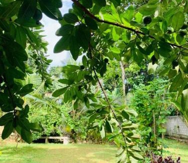 Hikkaduwa Villa | Sri Holiday House - Hikkaduwa