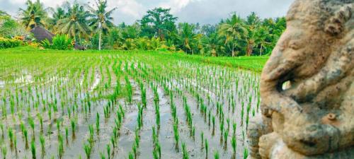 Pejeng Kawan House | Srijaya Ubud by SHM