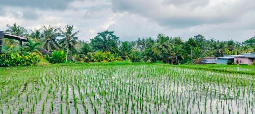 Pejeng Kawan House | Srijaya Ubud by SHM