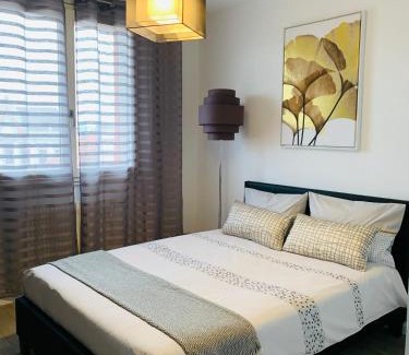 Roanne Apartment | St Louis Appartement