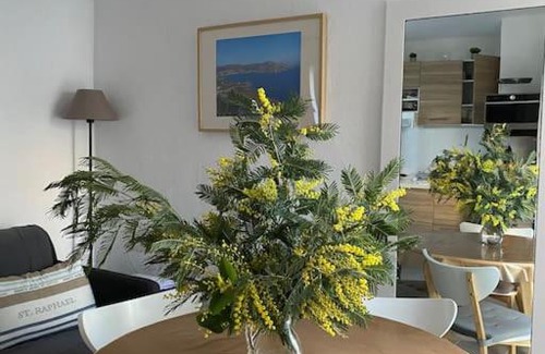 Boulouris-sur-Mer Apartment | St Raphaël 37m2, piscine, wifi, commerces mer 5mn à pieds