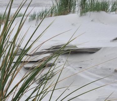 Nes Other | Stacaravan Duingras Ameland