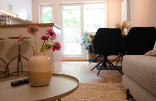 Wurzburg City Centre Apartment | Stadt-Refugium mit Terrasse