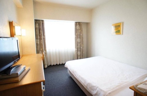 Suminoe Hotel | Standard single nonsmoking18 square meters Ro/Osaka Ōsaka