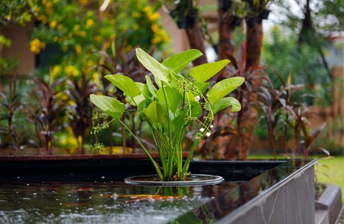 Huai Yai House | Standard two bedroom house