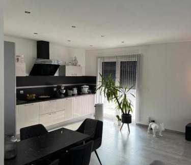 Wittelsheim Apartment | Standing wittel