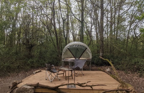 Gennes-Val-de-Loire Cabin | Star dome: Arnette au Thoureil, Maine & Loire