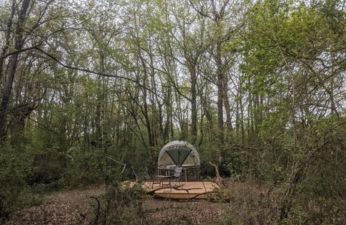 Gennes-Val-de-Loire Cabin | Star dome: Arnette au Thoureil, Maine & Loire
