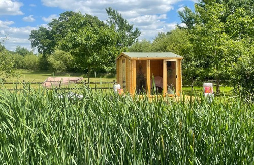 Maidstone Cottage | Star's Special Sanctuary - UK36785